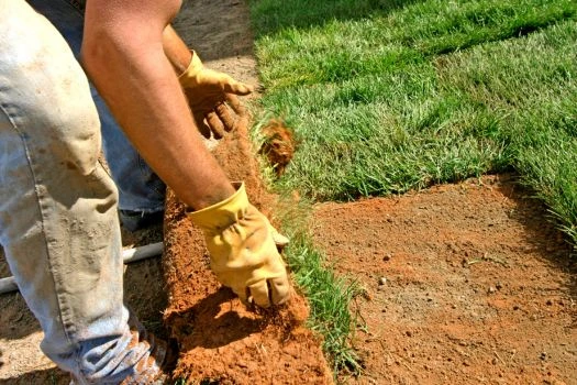 Landscaping Laying Sod