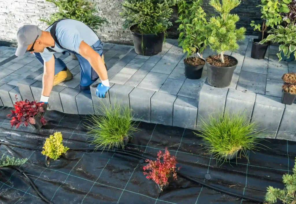 Professional Landscaper Developing Backyard Garden