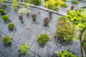 Weed Control Fabric in the Newly Created Backyard Garden