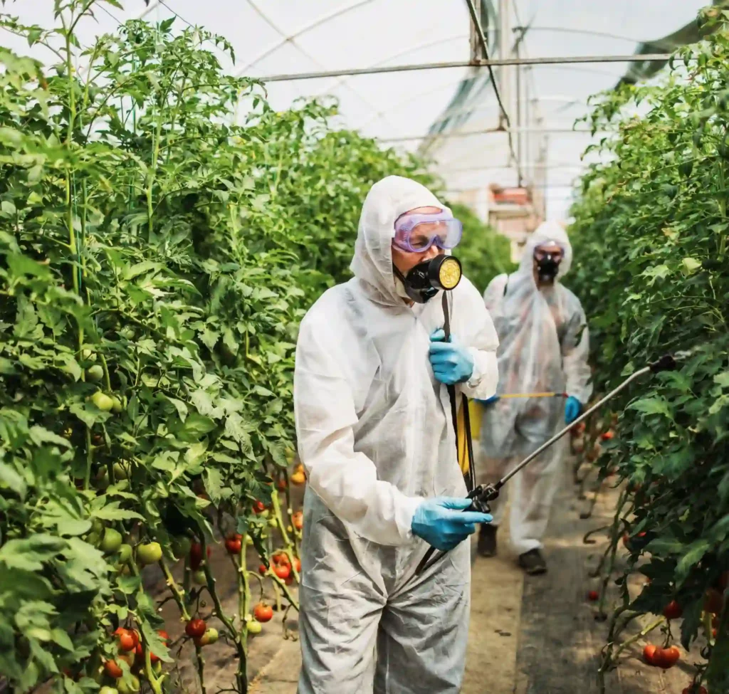 Weed control worker on field